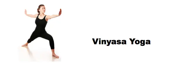 Αποτέλεσμα εικόνας για vinyasa yoga.